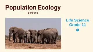 Population Ecology | Life science grade 11 | Factors that affect population size