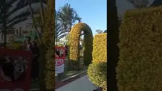 #east garden // #imphal//#manipur //#shorts