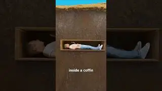 Could You Punch Your Way Out Of A Coffin? 🤔 (animation meme Part 104) #memes