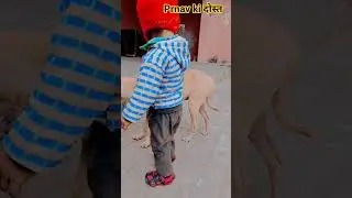 @pankajpal9517    prnav ki दोस्त #cute #funny #baby #comedy #prnav #sukrtal
