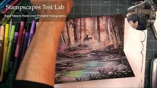 Stampscapes Lab: Fountain of Youth