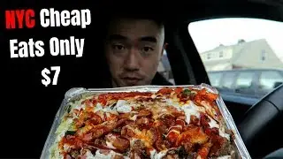 New York Halal Food MukBang | My Dirty Bulk Story