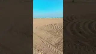 #RhodesGrass #ButtarZariFarm.   #Qiladarawar