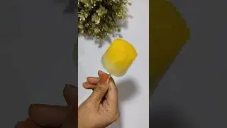 Timbuk Tu Pineapple🍍 Popsicle #shorts  #youtubeshorts
