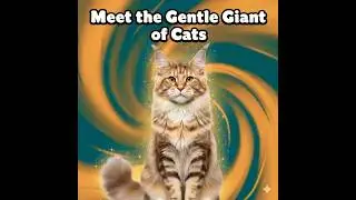Why the Maine Coon Cat is One of the Most Popular Cats in the World #maine #mainecoon #cat #cats