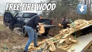 FREE FIREWOOD EVERYWHERE | RIGHT BEFORE A BLIZZARD IN TENNESSEE