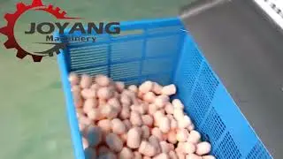 Cosmetic sponge/ Makeup sponge drying and sterilization machine