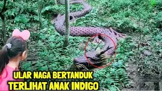 Kisah Nyata !! Bocah Indigo Dijadikan Anak Angkat Bangsa Jin Digunung Anjasmoro 