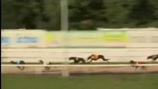 IGB - The E.C.I JCB    13/07/2019 Race 4 - Curraheen Park