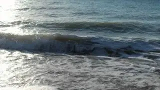 Black sea  Golden Sands  Bulgaria