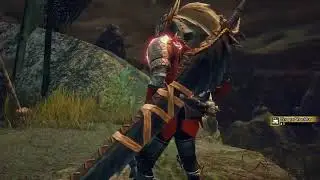 MHRise Solo Hunt - HR Promotion