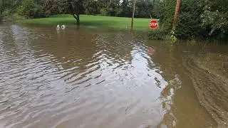 round lake park il flood 2017