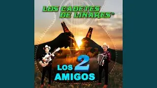No Vuelvo a Amar