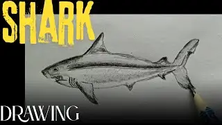 Shark Drawing with Pencil ✏ | Realistic Sketch | Step by Step Tutorial