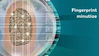 Fingerprint minutiae & ACE V