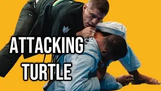 Exactly How To Take The Back From Turtle in 2026
