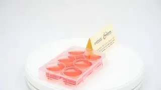 #400006 | CELL CULTURE PLATE 6 WELL