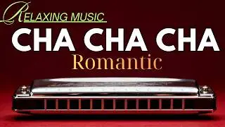 Chill Cha Cha Cha Harmonica Music | Relaxing Latin Vibes for Stress Relief