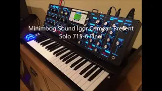 Minimoog Sound Igor Crimean Present Solo 715 6 Fine!