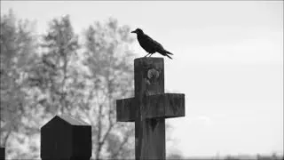 She Past Away ~ İzole