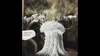Radiohead - Trans-Atlantic Drawl