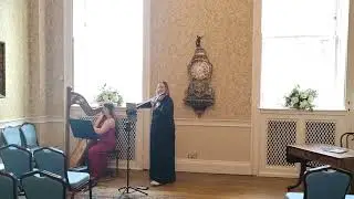 Can't help falling in love | Elvis | Guildhall Bath | Harp & Violin cover