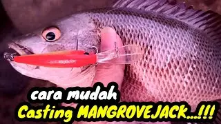 🔴Begini lhoo, Cara Casting Mangrove Jack pakai Minnow, Dijamin, Pemula pun bisa langsung Strike..!!!