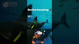 Best Looking PSVR2 Game? Pure Vibes.