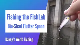 Fishing the FishLab Bio-Shad Finesse Jig - You Never Know What Will Bite