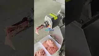 Small Chicken Deboning Machine | Automatic Poultry Deboner for Meat Paste Making
