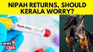 Explained: What Is Nipah Virus, Symptoms, And Measures | Kerala news | English News | News18 | N18V
