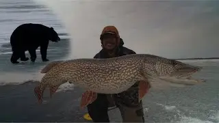 Craziest Encounter While Ice fishing! (Amazing underwater footage)