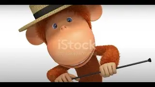 Cheeky Monkey Adventures Down Under!