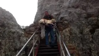 Hiking with pets 😂
