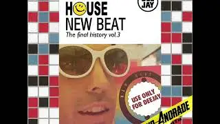 ACID HOUSE NEW BEAT - The Final History Vol.3 (It is not mixed)