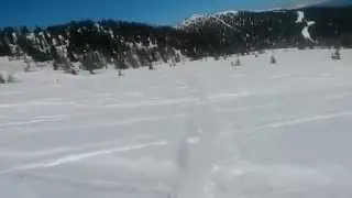 My favorite off-piste at Madonna Di Campiglio