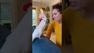 больше нет &laquo;хорошо&raquo;