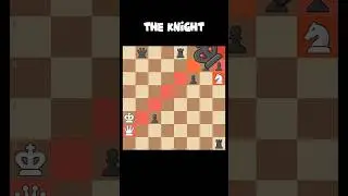 The Cross Knight 🐎 Chess Ranee -308 #shorts #chess #knight