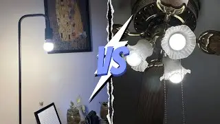 Soft White Vs Daylight Bulbs! What's The Differences?