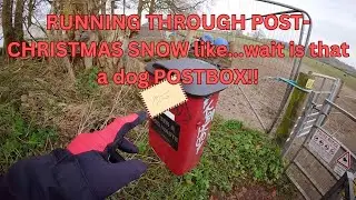 RUNNING THROUGH POST- CHRISTMAS SNOW LIKE... Wait, is that a dog POSTBOX!!