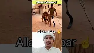 miracle of Allah ☝️🤲💚 #miracleofallah #prayer #trending #reels #mashallah #virals #رحمة_الله #shorts