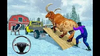 Farm Animal Transport