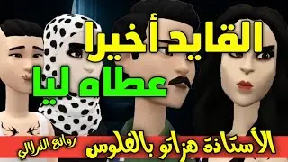 نكت الترلالي سلسلة 873 - القايد أخيرا عطاه ليا ( الأستاذة كتعطيه بالفلوس )