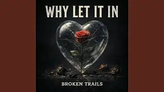 Why Let It In