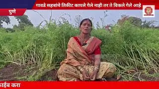 टाकळी हाजी येथील जिल्हा परिषद निवडणुकीबाबत महिलेची सडेतोड मुलाखत