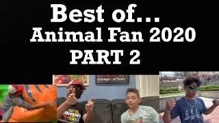 Best of Animal Fan 2020!! Part 2!!