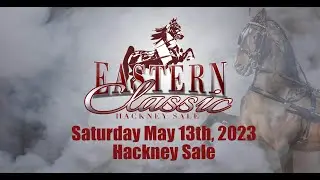 2023 Eastern Classic Hackney Sale - Hackney Sale