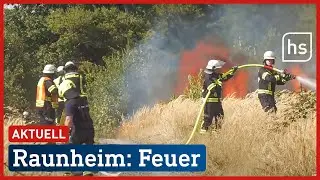 Waldbrand in Raunheim: Mehrere tausend Quadratmeter in Flammen | hessenschau