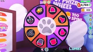 Spinning The Wheel In Overlook Bay(RIP Paw Badges)
