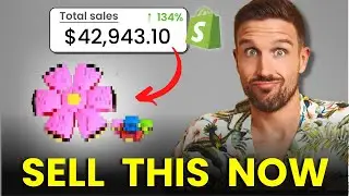 Top 5 Winning Products To Sell This January (Shopify Dropshipping 2024)